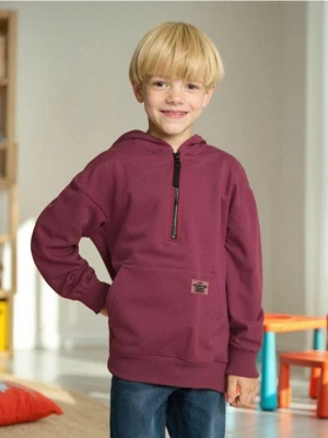 Sinsay - Bluza hoodie z zapięciem na zamek - bordowy