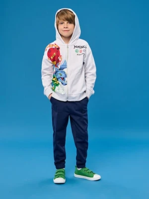 Sinsay - Bluza Ninjago - szary