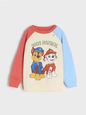 Sinsay - Bluza PAW Patrol - kremowy