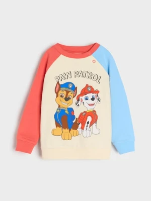 Sinsay - Bluza PAW Patrol - kremowy