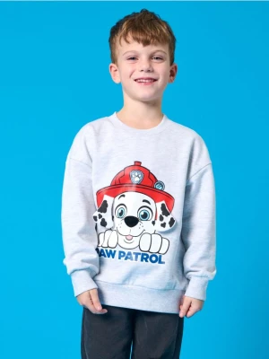 Sinsay - Bluza Paw Patrol - szary