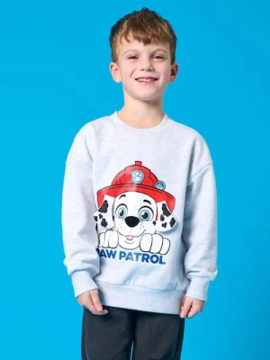 Sinsay - Bluza PAW Patrol - szary