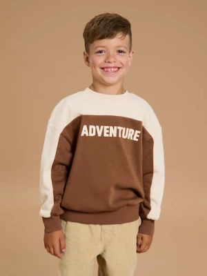 Sinsay - Bluza przez głowę z napisem - brązowy