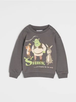 Sinsay - Bluza Shrek - szary