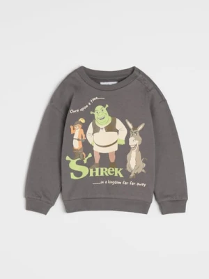 Sinsay - Bluza Shrek - szary