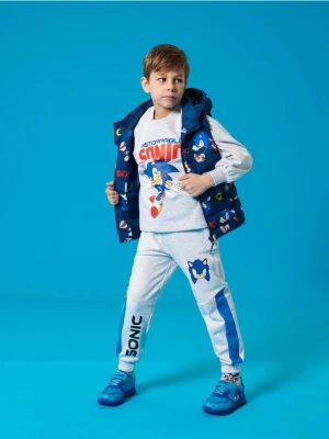 Sinsay - Bluza Sonic The Hedgehog - szary