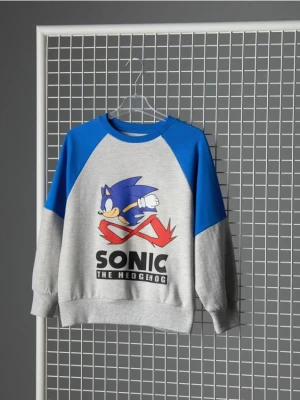 Sinsay - Bluza Sonic the Hedgehog - szary