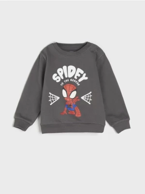 Sinsay - Bluza SPIDERMAN - szary