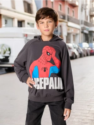 Sinsay - Bluza Spiderman - szary