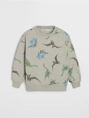 Sinsay - Bluza - szary