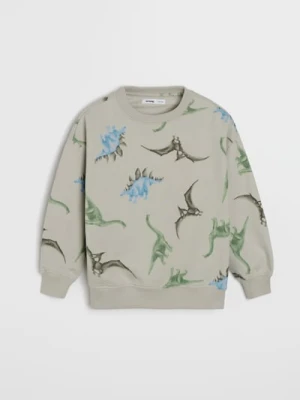 Sinsay - Bluza - szary