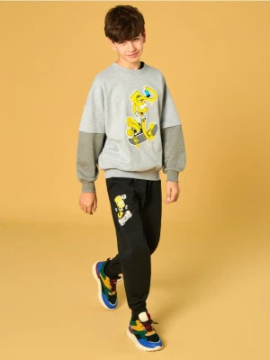 Sinsay - Bluza The Simpsons - szary