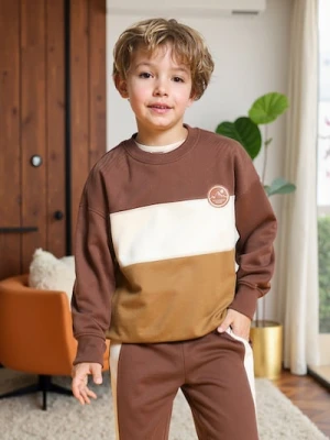 Sinsay - Bluza w pasy - brązowy