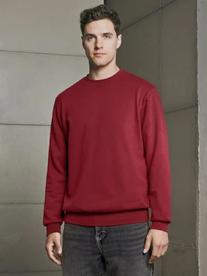 Sinsay - Bluza z długim rękawem - czerwony