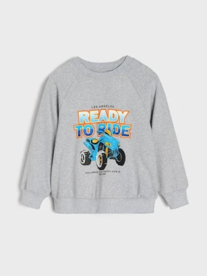 Sinsay - Bluza z kolorowym nadrukiem - szary