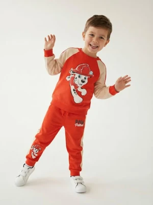 Sinsay - Bluza z kontrastowymi wstawkami z nadrukiem PAW Patrol - pomarańczowy