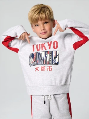 Sinsay - Bluza z nadrukiem - szary