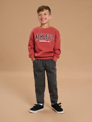 Sinsay - Bluza z napisem - czerwony