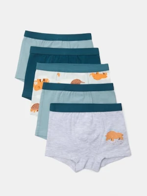 Sinsay - Bokserki 5 pack - wielobarwny