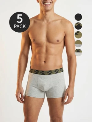 Sinsay - Bokserki classic 5 pack - wielobarwny