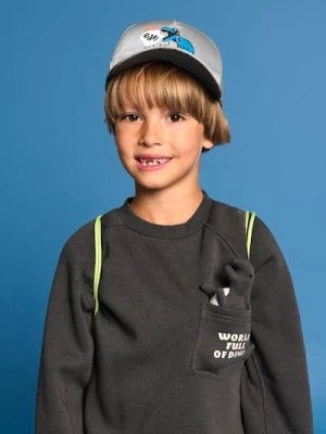 Sinsay - Czapka z daszkiem - szary