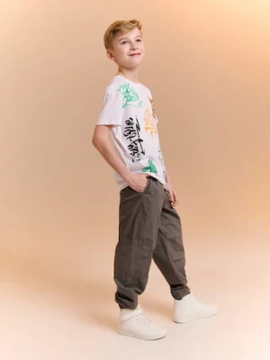 Sinsay - Jeansy jogger cargo - szary