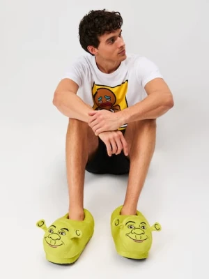 Sinsay - Kapcie z haftem Shrek - zielony
