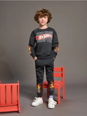 Zdjęcie produktu Sinsay - Komplet dzianinowy Hot Wheels - szary