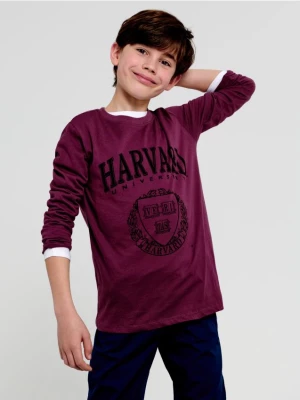 Sinsay - Koszulka Harvard - fioletowy
