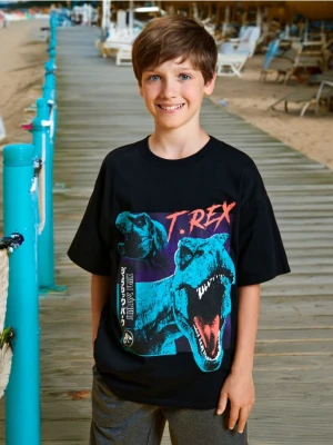 Zdjęcie produktu Sinsay - Koszulka Jurassic Park - czarny