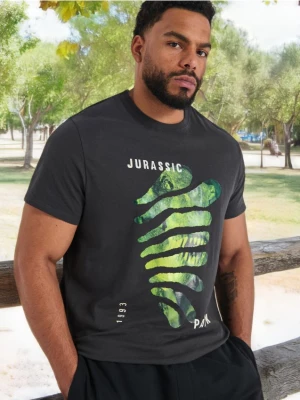 Sinsay - Koszulka Jurassic Park - szary
