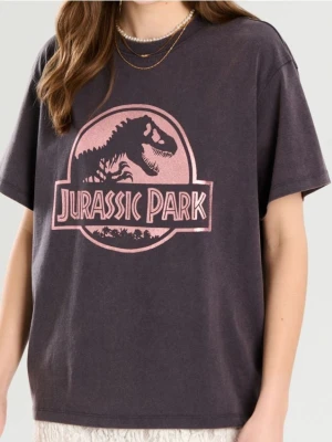 Sinsay - Koszulka oversize Jurassic Park - szary
