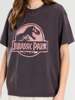 Sinsay - Koszulka oversize Jurassic Park - szary