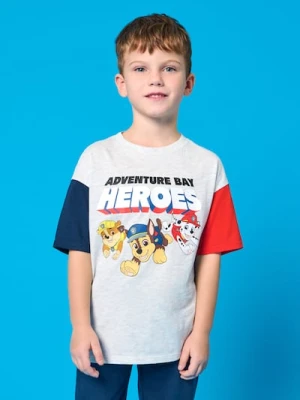 Sinsay - Koszulka PAW Patrol - szary