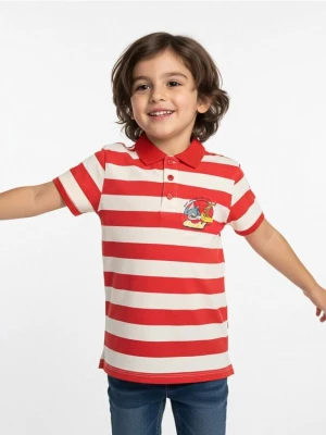 Sinsay - Koszulka polo Tom and Jerry - czerwony
