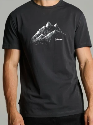 Sinsay - Koszulka regular z nadrukiem - szary