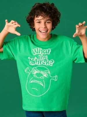 Zdjęcie produktu Sinsay - Koszulka Shrek - zielony