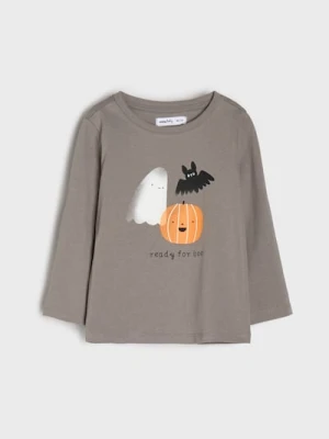 Sinsay - Koszulka z długimi rękawami z motywem Halloween - szary