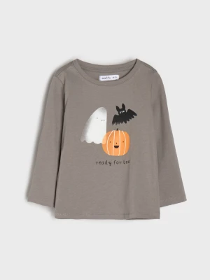 Sinsay - Koszulka z długimi rękawami z motywem Halloween - szary