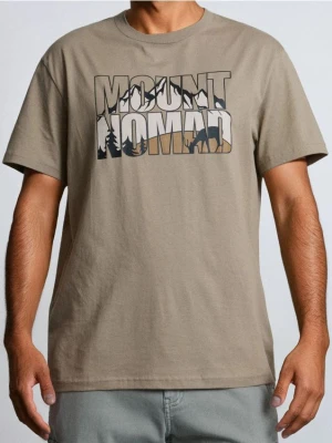 Sinsay - Koszulka z krótkim rękawem - brązowy