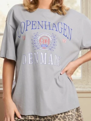 Sinsay - Koszulka z krótkim rękawem - szary