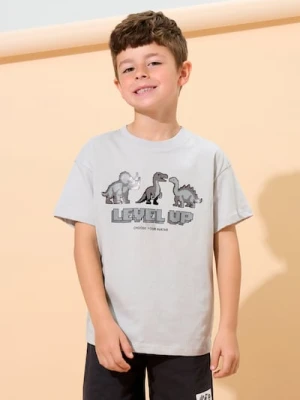 Sinsay - Koszulka z krótkim rękawem - szary