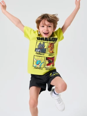 Sinsay - Koszulka z nadrukiem How to train your dragon - zielony