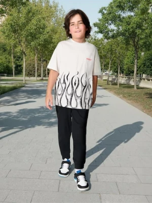 Sinsay - Koszulka z nadrukiem - szary