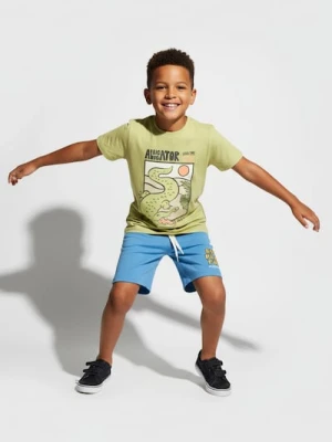 Sinsay - Koszulka z nadrukiem - zielony