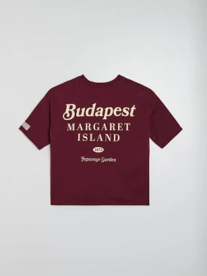Zdjęcie produktu Sinsay - Koszulka z napisem z dzianiny terry - bordowy