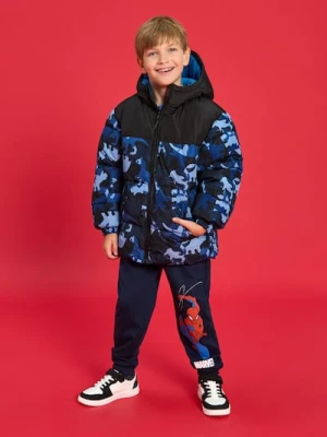 Sinsay - Kurtka puchowa - wielobarwny