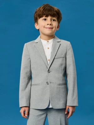 Sinsay - Marynarka jednorzędowa - szary