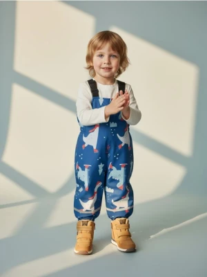 Sinsay - Ocieplane spodnie zimowe z regulacją w pasie - wielobarwny