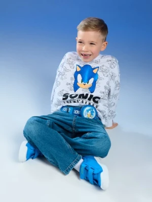 Sinsay - Parciany pasek z portfelem Sonic the Hedgehog - wielobarwny